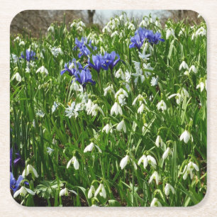 Hillside of Early Spring Flowers Landscape Kartonnen Onderzetters