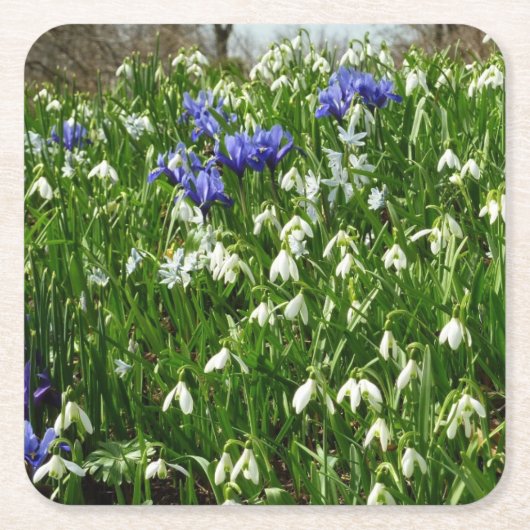 Hillside of Early Spring Flowers Landscape Kartonnen Onderzetters (Voorkant)