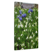 Hillside of Early Spring Flowers Landscape Klembord (Rechts)