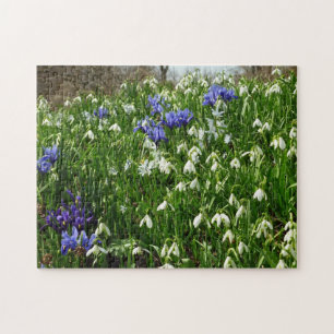 Hillside of Early Spring Flowers Landscape Legpuzzel