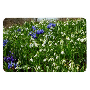 Hillside of Early Spring Flowers Landscape Magneet