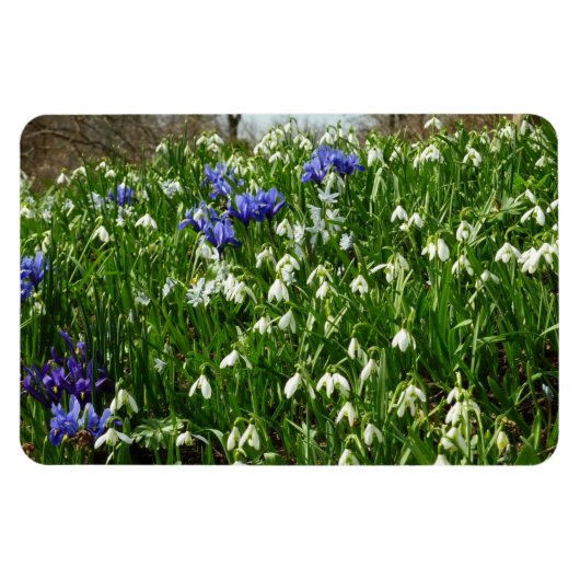 Hillside of Early Spring Flowers Landscape Magneet (Horizontaal)