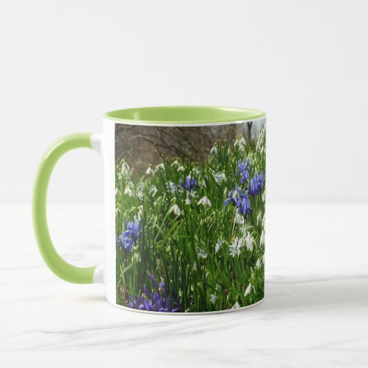Hillside of Early Spring Flowers Landscape Mok (Links)