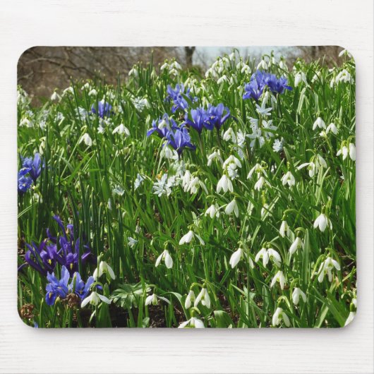 Hillside of Early Spring Flowers Landscape Muismat (Voorkant)