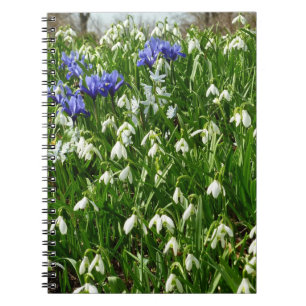 Hillside of Early Spring Flowers Landscape Notitieboek