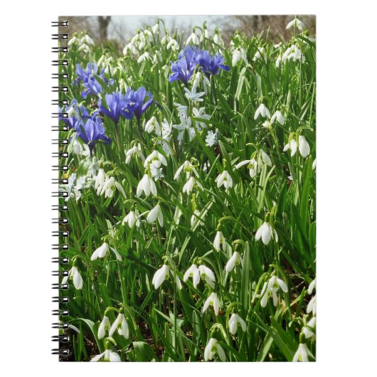 Hillside of Early Spring Flowers Landscape Notitieboek (Voorkant)