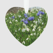 Hillside of Early Spring Flowers Landscape Ornament (voorkant)