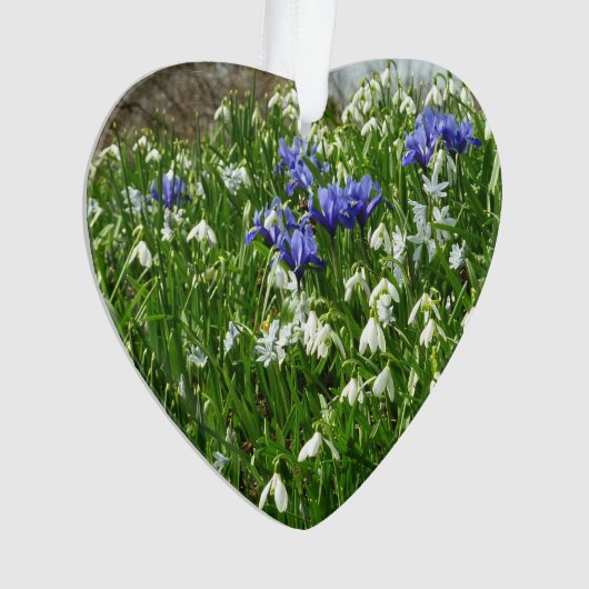 Hillside of Early Spring Flowers Landscape Ornament (voorkant)