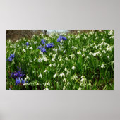 Hillside of Early Spring Flowers Landscape Poster (Voorkant)
