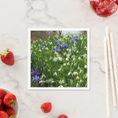 Hillside of Early Spring Flowers Landscape Servet (Insitu)