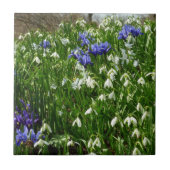 Hillside of Early Spring Flowers Landscape Tegeltje (Voorkant)