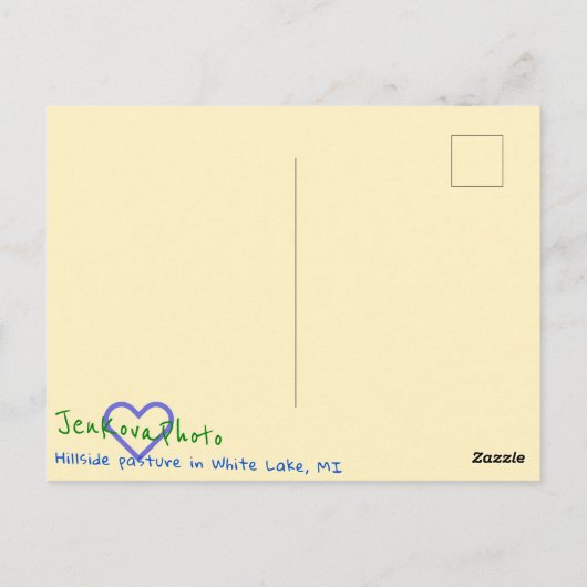 HILLSIDE PASTURE BRIEFKAART (Achterkant)