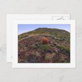 " Hillside Silo " Briefkaart (Voorkant / Achterkant)