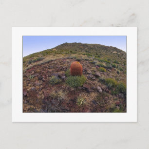 " Hillside Silo " Briefkaart