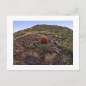 " Hillside Silo " Briefkaart (Voorkant)