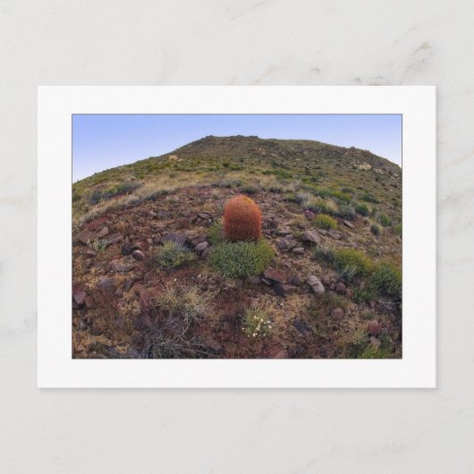 " Hillside Silo " Briefkaart (Voorkant)