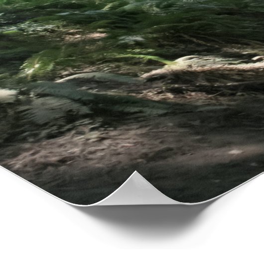 "Hillside Trail", Muir Bossen Poster (Hoek)