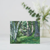 Hillside Trees Briefkaart (Staand voorkant)