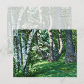 Hillside Trees Briefkaart (Voorkant / Achterkant)