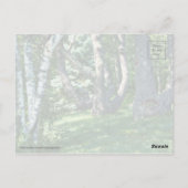 Hillside Trees Briefkaart (Achterkant)