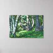 Hillside Trees Canvas Afdruk (Voorkant)
