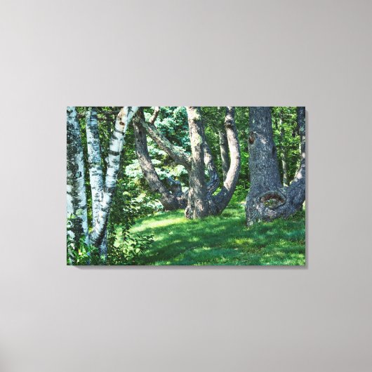Hillside Trees Canvas Afdruk (Voorkant)