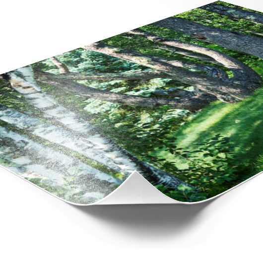 Hillside Trees Foto Afdruk (Hoek)