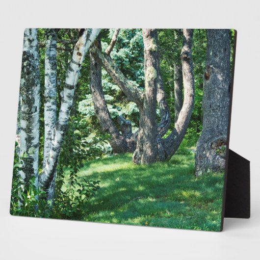 Hillside Trees Fotoplaat (Zijkant)