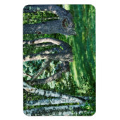 Hillside Trees Magneet (Verticaal)