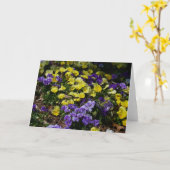 Hillside van Paarse en gele pansies Kaart (Gele Bloem)