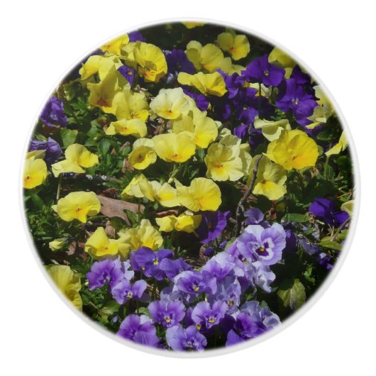 Hillside van Paarse en gele pansies Keramische Knop (Voorkant)