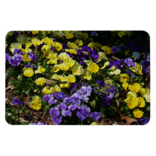 Hillside van Paarse en gele pansies Magneet