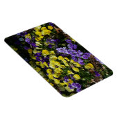 Hillside van Paarse en gele pansies Magneet (Rechterzijde)