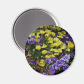 Hillside van Paarse en gele pansies Magneet (Voorkant / Achterkant)