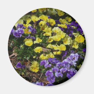 Hillside van Paarse en gele pansies Magneet