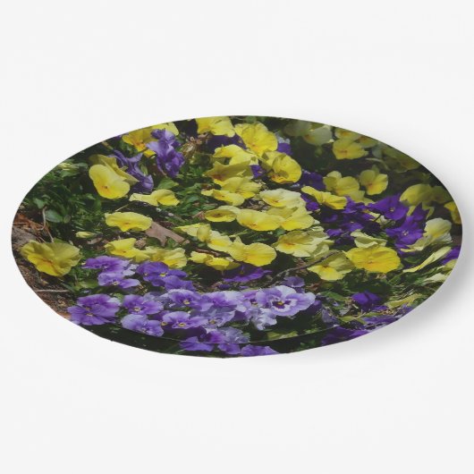 Hillside van Paarse en gele pansies Papieren Bordje (Gekanteld)
