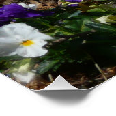 Hillside van Paarse en gele pansies Perfect Poster (Hoek)