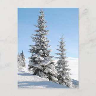 Hilltop bomen briefkaart