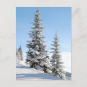 Hilltop bomen briefkaart (Voorkant)