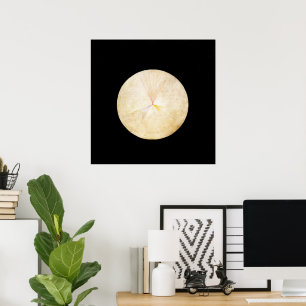 Hilma Af Klint, De Zwaan No.14, Abstracte Kunst Poster