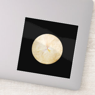 Hilma af Klint, De zwaan nr. 14, Abstracte kunst Sticker