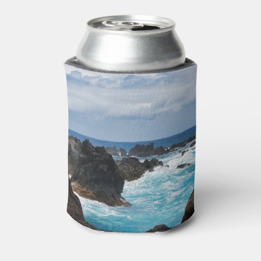 Hilo Hawaii Cooler (Blikje Achterkant)