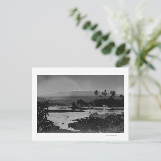 Hilo, Hawaii - Uitzicht van de stadfoto Briefkaart (Staand voorkant)