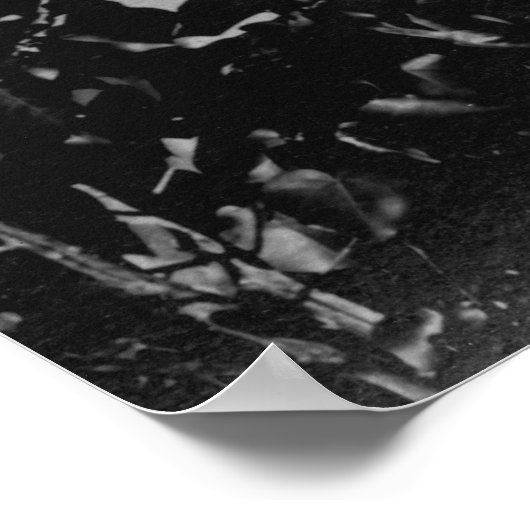 Hilo, Hawaii - Uitzicht van de stadfoto Poster (Hoek)