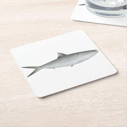 Hilsa Shad Kartonnen Onderzetters (Schuin)