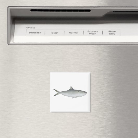Hilsa Shad Magneet (Insitu (Vaatwasser))