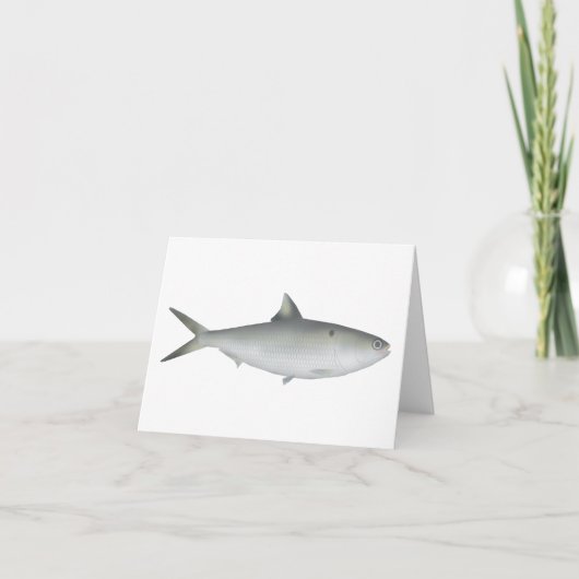 Hilsa Shad Notitiekaartje (Voorkant)