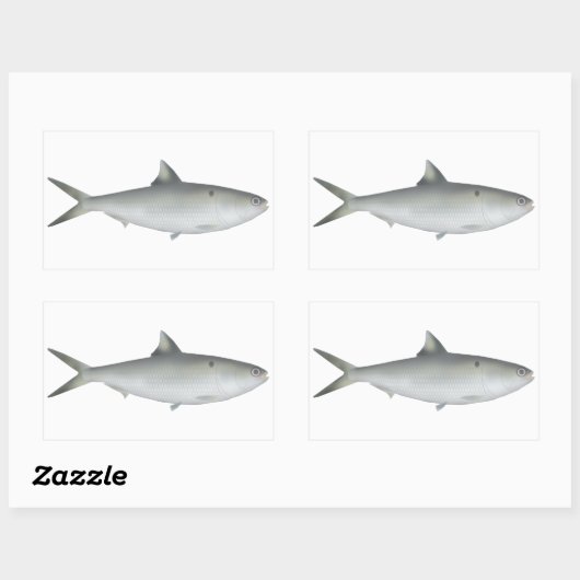 Hilsa Shad Rechthoekige Sticker (Vel)