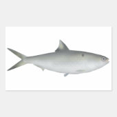 Hilsa Shad Rechthoekige Sticker (Voorkant)