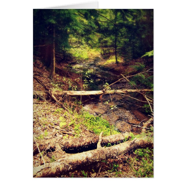 Hilton Creek (Voorkant)